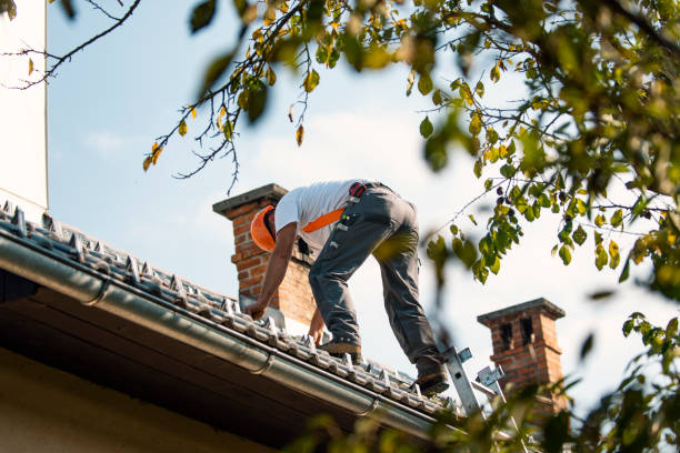 Professional Roofing Contractor in Lafayette, GA