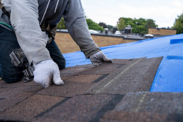 Best Residential Roofing Contractor  in Lafayette, GA