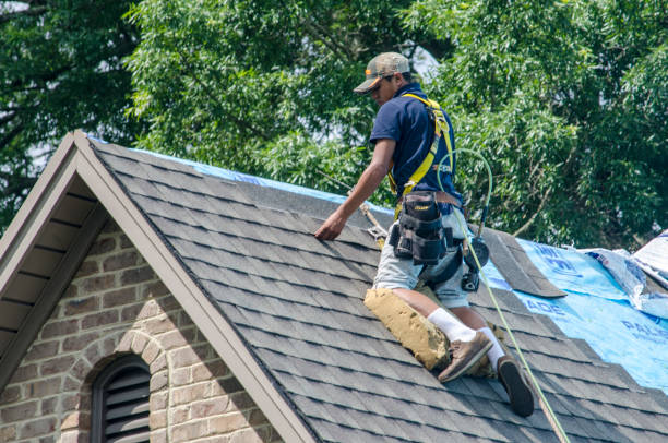 Best Metal Roofing Contractor  in Lafayette, GA